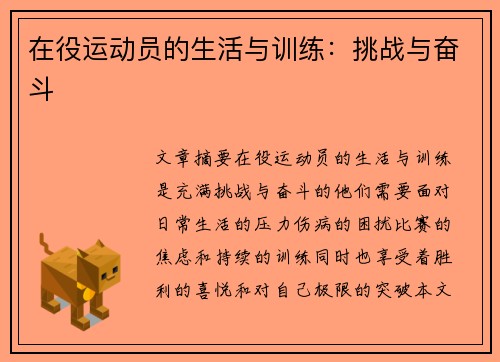 在役运动员的生活与训练：挑战与奋斗